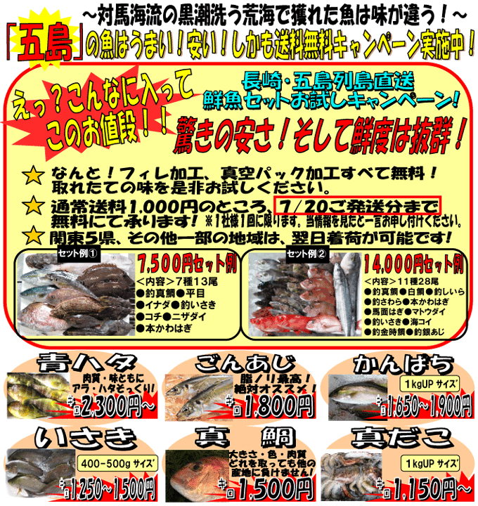 長崎・五島の鮮魚は旨くて安い！青ハタ、ごんあじ、カンパチ、イサキ、真鯛、真だこ、など魚種豊富！