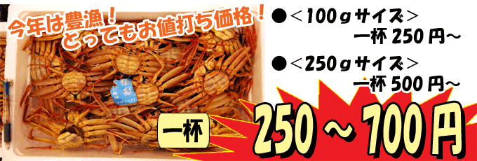 石川県産　香箱蟹