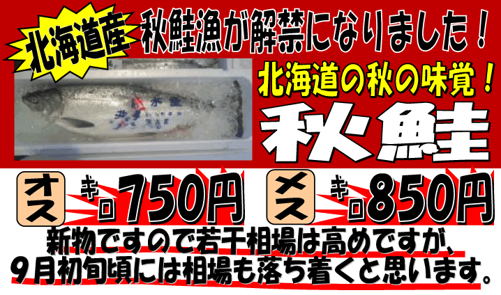 北海道産　秋鮭
