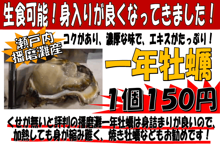 瀬戸内播磨灘産　一年牡蠣