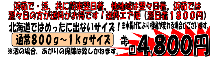 �k�C�����f���Y�@����ъI