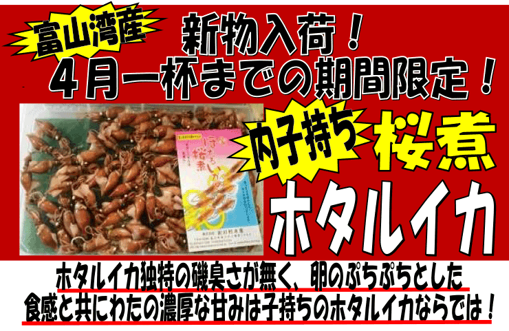 富山湾産　桜煮ホタルイカ