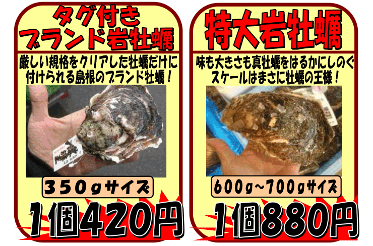 島根県壱岐諸島産　ブランド岩牡蠣
