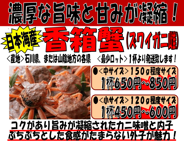 日本海産　香箱蟹（ズワイガニ雌）