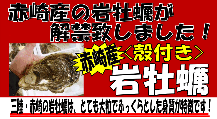 岩手県赤崎産　岩牡蠣