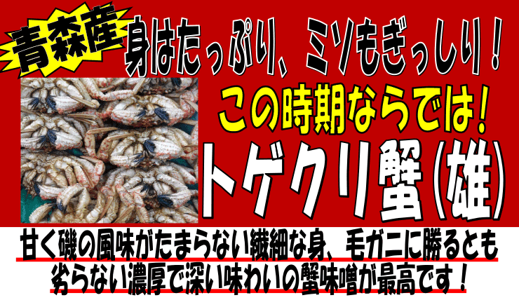 青森産　トゲクリ蟹
