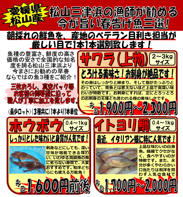 愛媛県松山産　サワラ＆ホウボウ＆イトヨリ鯛
